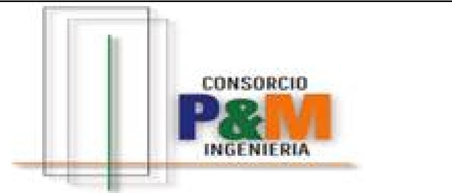 CONSORCIO P&M